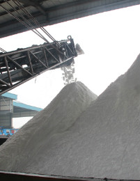 香港六合彩开奖结果