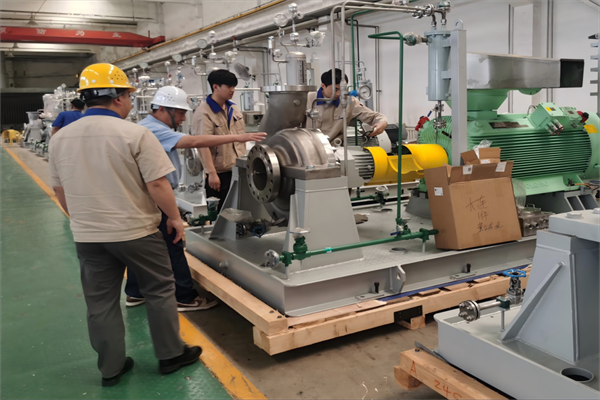 香港六合彩开奖结果